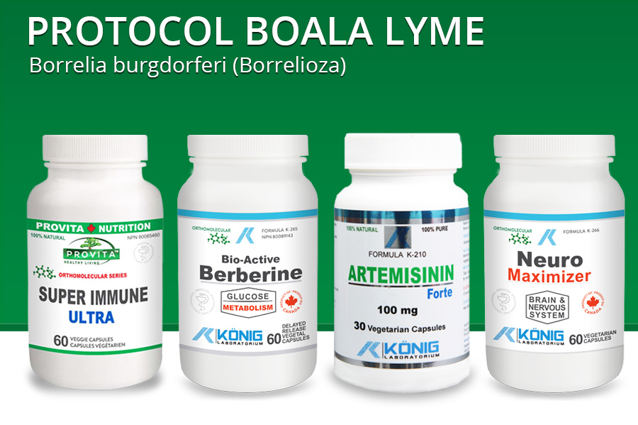 Boala Lyme: simptome, cauze, tratament
